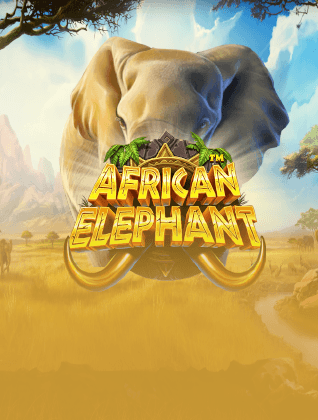 betmxs-pragmatic-play-37