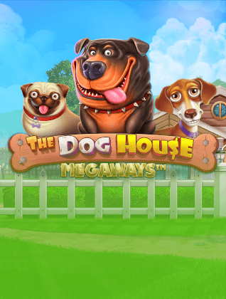 hoywin-pragmatic-play-game-2