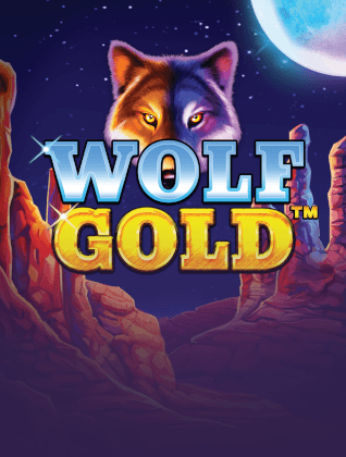 hoywin-pragmatic-play-game-28