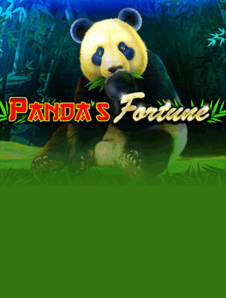 hoywin-pragmatic-play-game-3